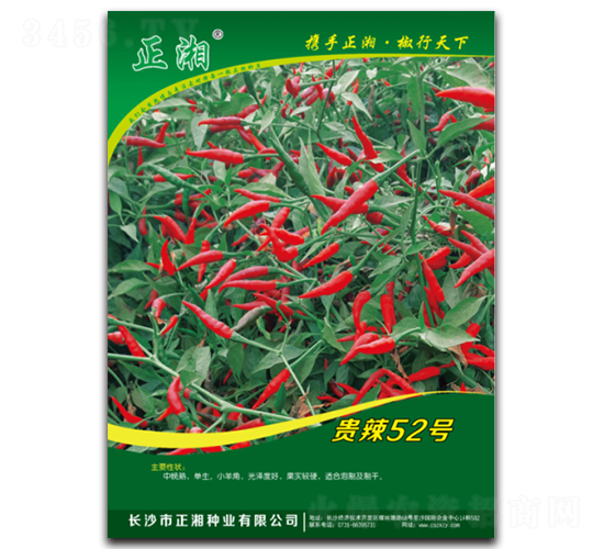 æ­£æ¹˜è²´è¾£52è™Ÿ-æœå¤©æ¤’ç¨®å­-æ­£æ¹˜ç¨®æ¥­