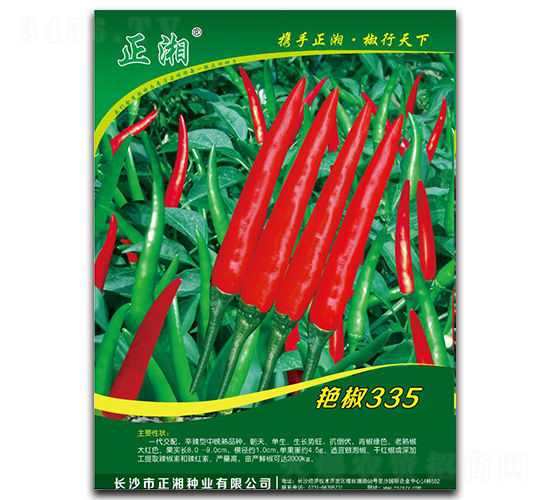 正湘艷椒335-朝天椒種子-正湘種業
