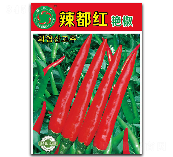 辣都紅艷椒-朝天椒種子-正湘種業
