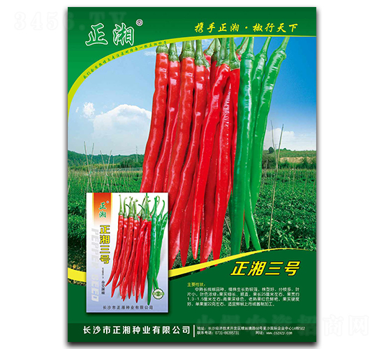 正湘三號-線椒種子-正湘種業