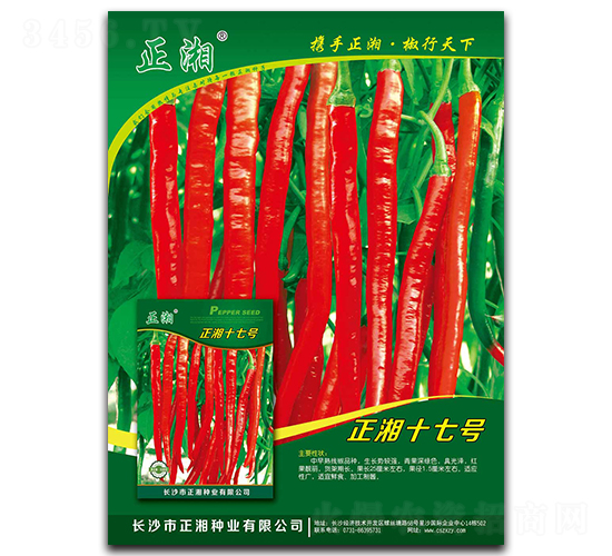 正湘十七號-線椒種子-正湘種業