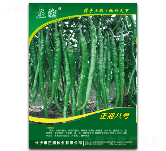 正湘八號-線椒種子-正湘種業