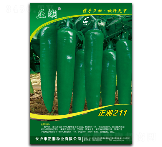 正湘211-線椒種子-正湘種業