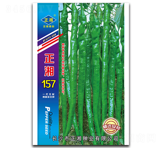 正湘157-線椒種子-正湘種業