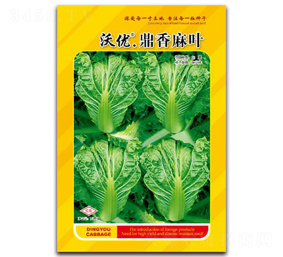 鼎香麻葉-葉菜種子-鼎優農業
