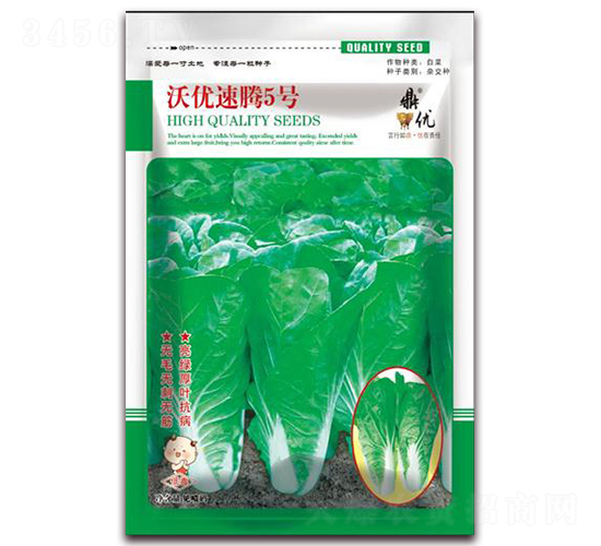 速騰5號-葉菜種子-鼎優農業