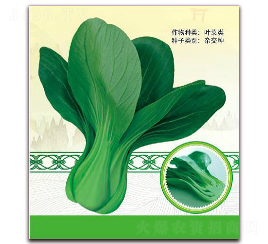熱綠二號-葉菜種子-鼎優農業
