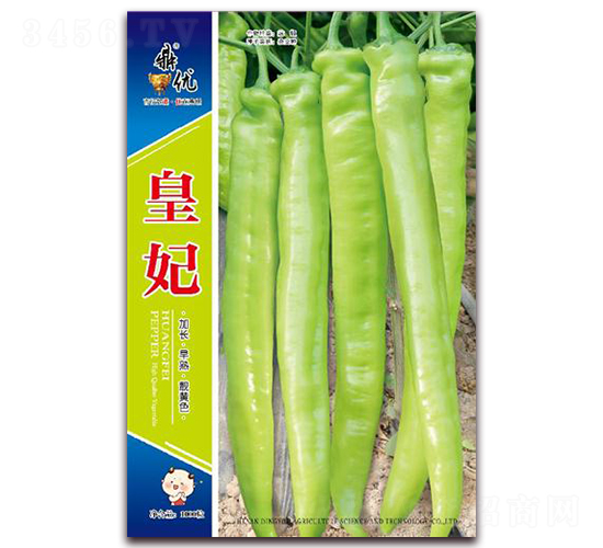 皇妃-辣椒種子-鼎優農業