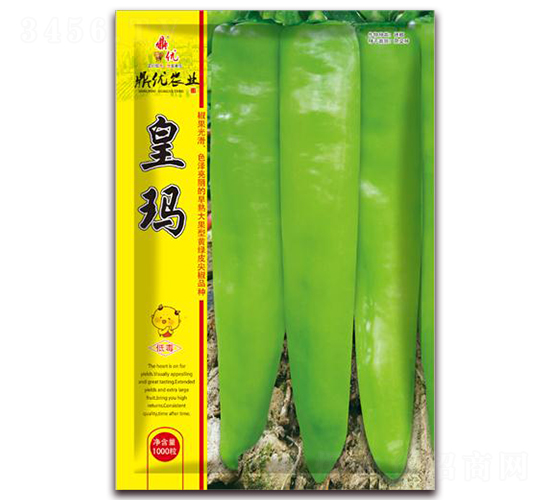 皇瑪-辣椒種子-鼎優農業
