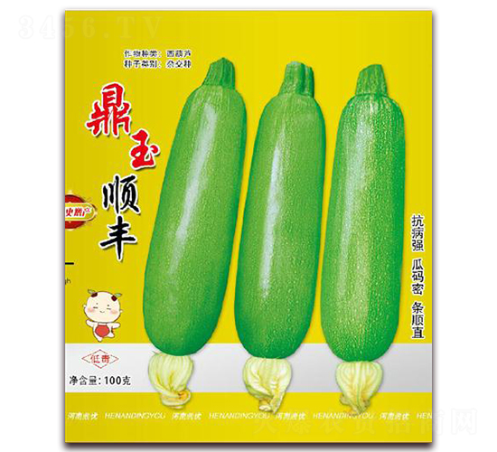 鼎玉順豐-西葫蘆種子-鼎優農業