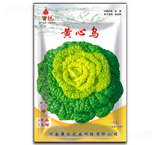 黃心烏-葉菜種子-鼎優農業