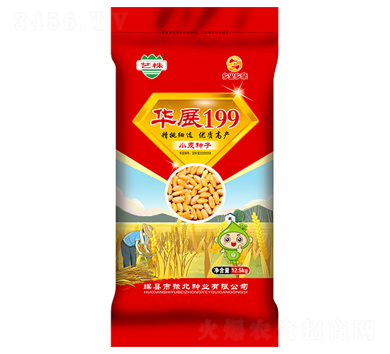 華展199-小麥種子-豫北種業