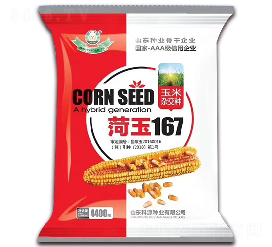 菏玉167-玉米種子-科源種業
