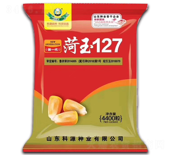 菏玉127-玉米種子-科源種業
