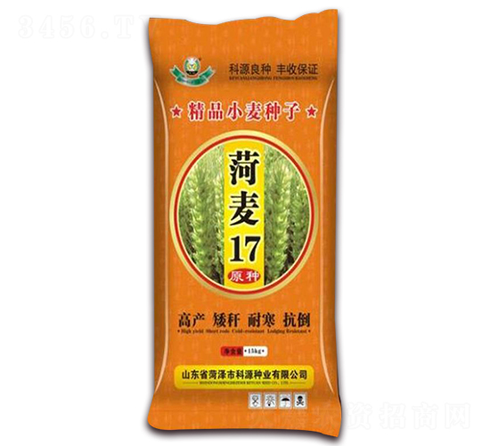 菏麥17-小麥種子-科源種業