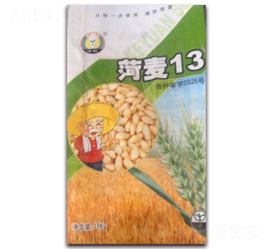 菏麥13-小麥種子-科源種業