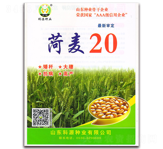 菏麥20-小麥種子-科源種業