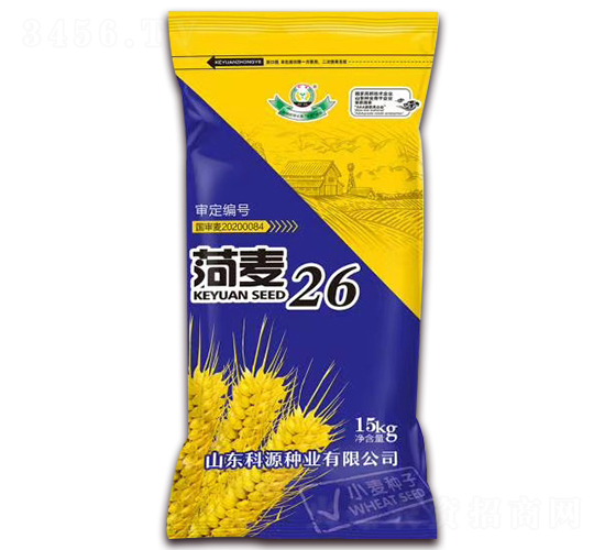 菏麥26-小麥種子-科源種業