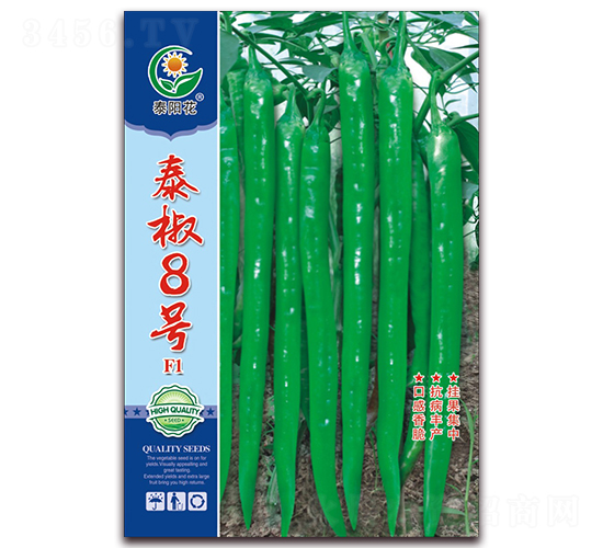 泰椒8號-青椒種子-映山龍