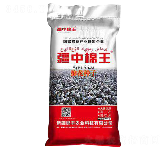北疆棉花種子-疆中棉王-邯豐農業
