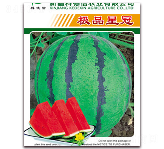 極品星冠-西瓜種子-科德信