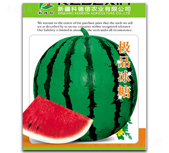 極品冰糖-西瓜種子-科德信