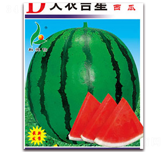 r-ϷN-Ƶ