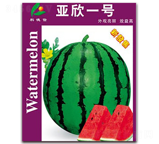 亞欣一號-西瓜種子-科德信