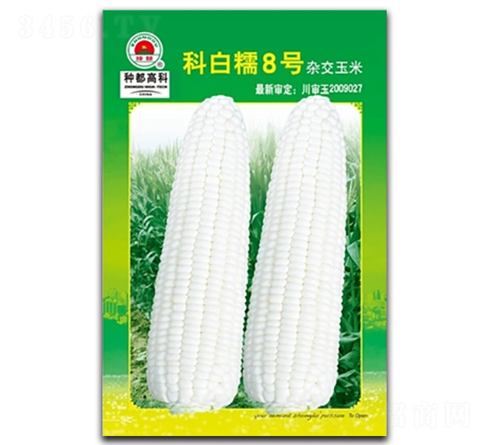 科白糯8號(hào)（2）-玉米種子-高科種業(yè)