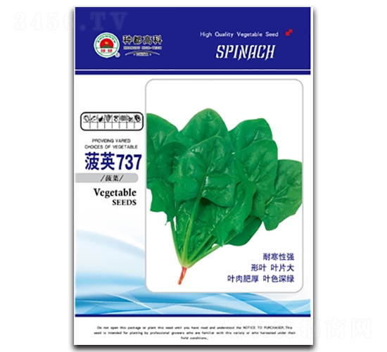 菠英737-菠菜種子-高科種業