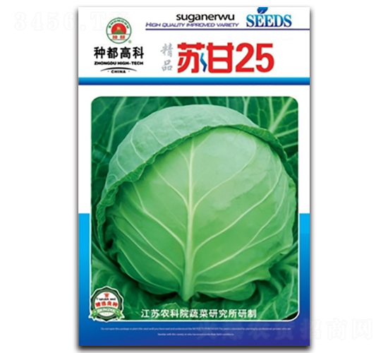 蘇甘25-包菜種子-高科種業