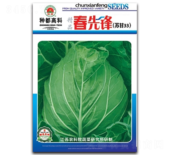 春先鋒-甘藍種子-高科種業