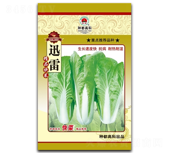 迅雷-小白菜種子-高科種業