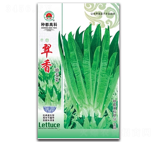 翠香-油麥菜種子-高科種業