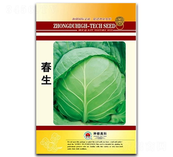 春生-包菜種子-高科種業