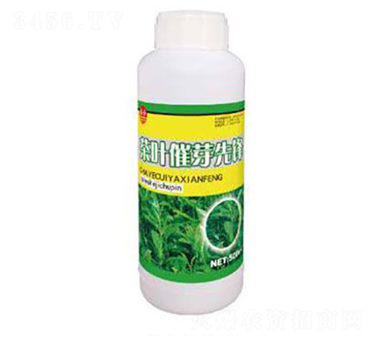 茶葉催芽先鋒-泰玉肥業(yè)