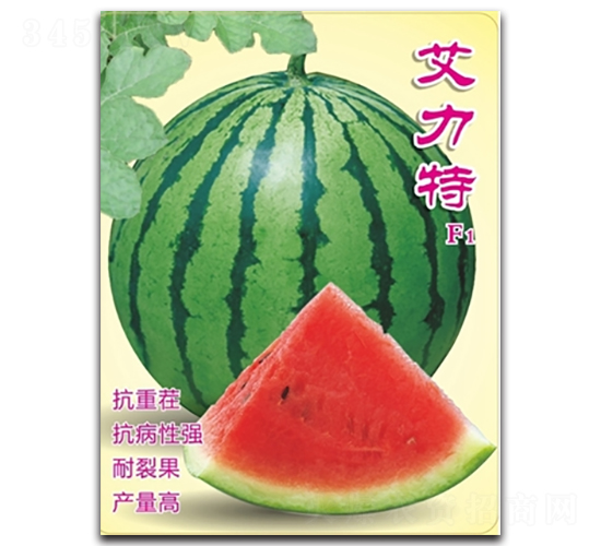 艾力特-西瓜種子-高科種業