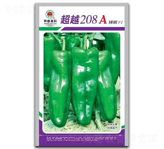 超越208A-辣椒種子-高科種業