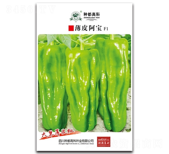 薄皮阿寶-辣椒種子-高科種業
