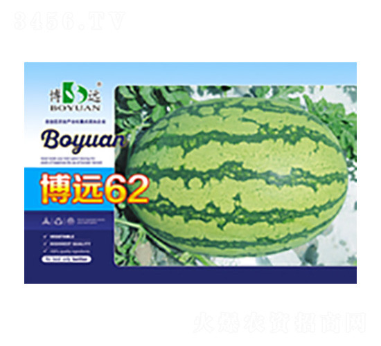博遠62-昌農種業