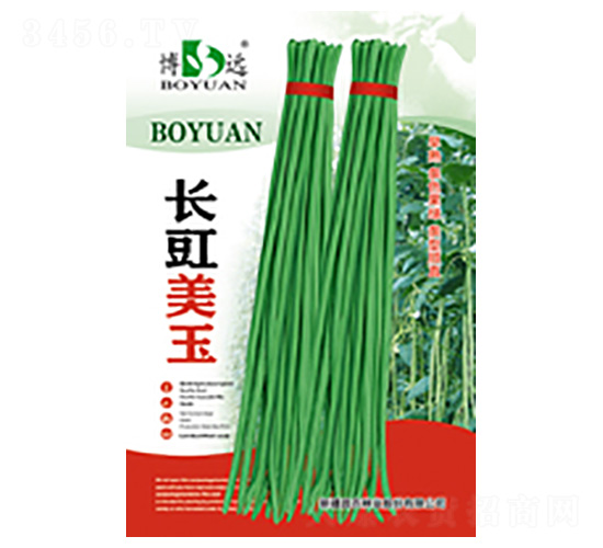 長豇美玉-昌農種業
