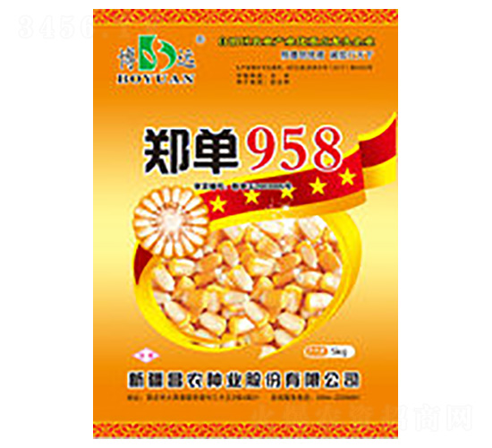 鄭單958-昌農種業