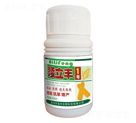 矮立豐1號-禾植豐