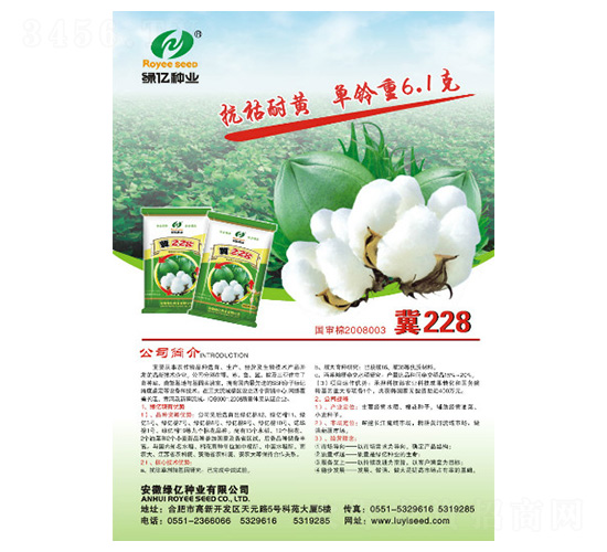 冀228-綠億種業