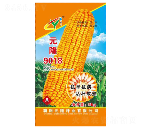 元隆9018-元隆種業