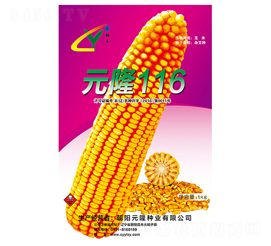 元隆116種子-元隆種業