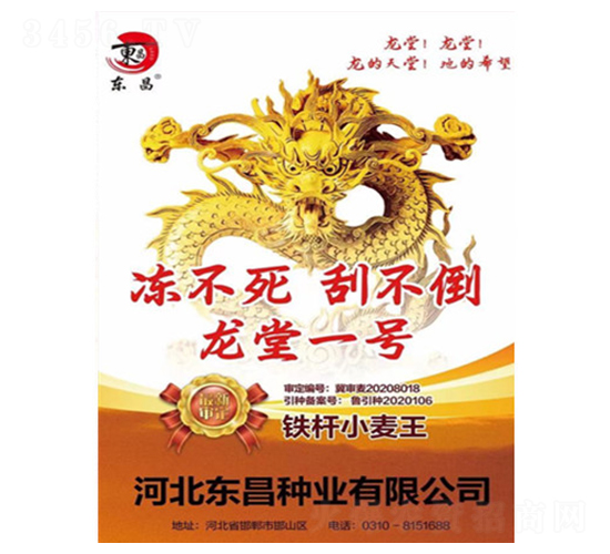 龍堂一號-東昌