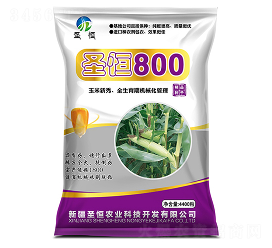 圣恒800-春淼種業