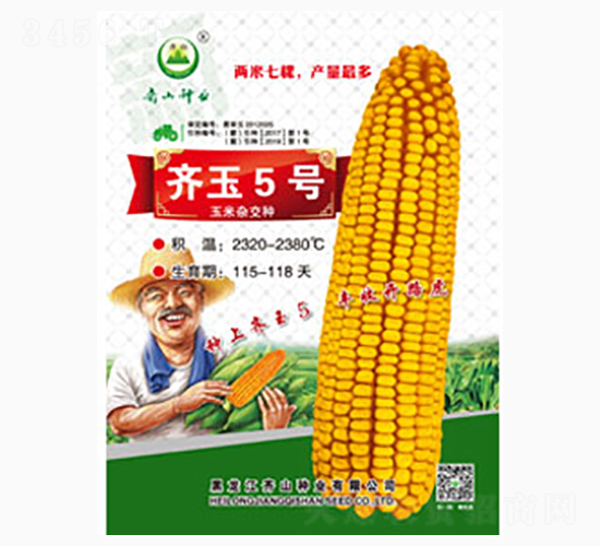 齊玉5號-齊山種業