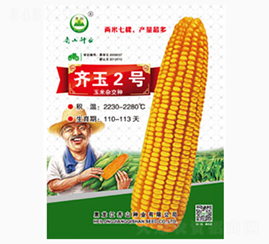 齊玉2號-齊山種業(yè)
